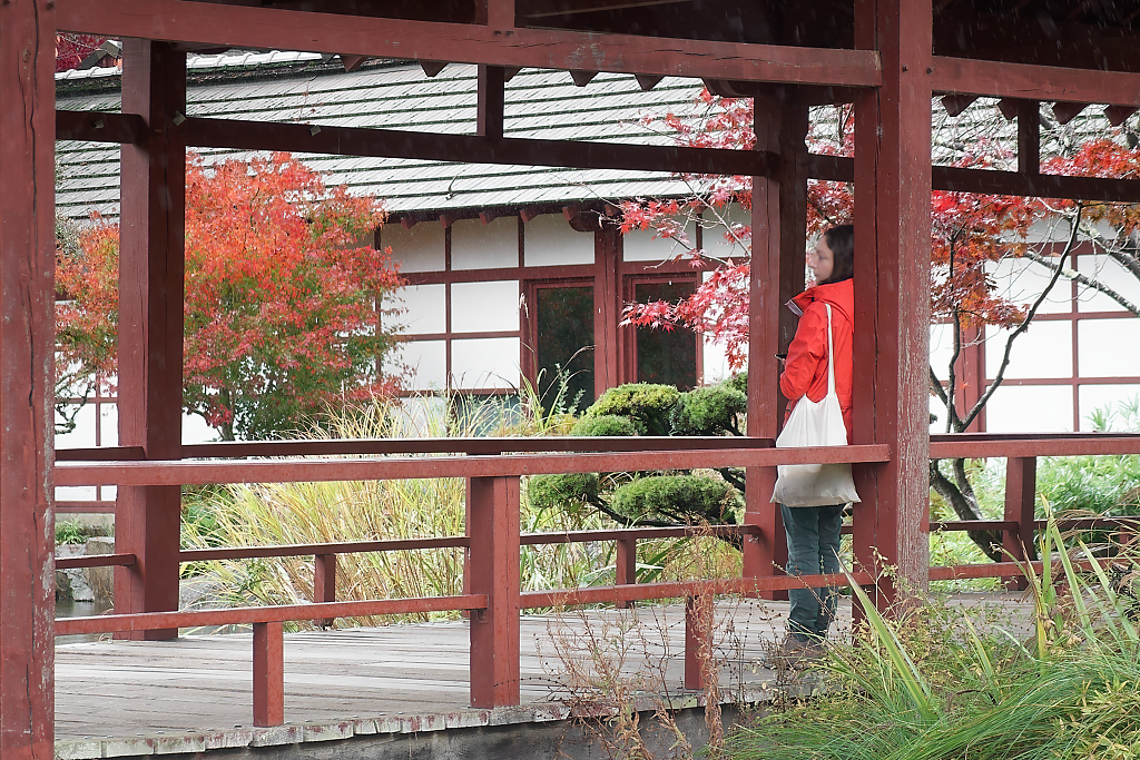 Les sanglots longs
Des violons
De l’automne
Blessent mon coeur
D’une langueur
Monotone.
Merci à toi Paul Verlaine,
Mon image n'est pas vaine.